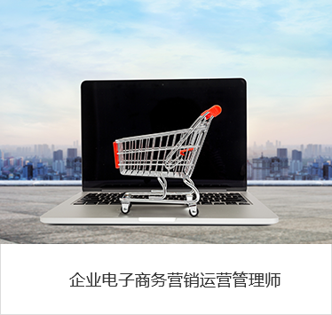 电子商务运营师.png